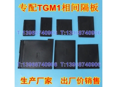 TGM1Ƥ,TGM1-100 250 400 630,ԵȼƬ,ɫ